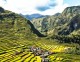 Batad-Celtik-Tarlalari