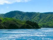 Interislander Cook Strait Ferry Cook-Strait-Ferry