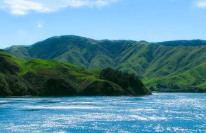 Cook-Strait-Ferry