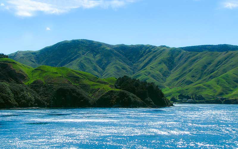 Cook-Strait-Ferry