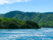 Cook-Strait-Ferry