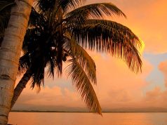 Viseisei Köyü: Fiji Sabahına Uyanmak Viseisei-Koyu-Fiji