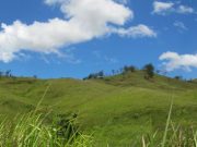 Viseisei’den Coral Cost’a: Nadi   Nadi-Fiji-City