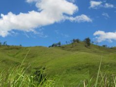 Viseisei’den Coral Cost’a: Nadi Nadi-Fiji-City