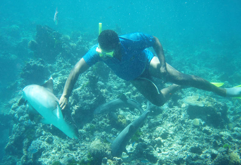 Shark-Snorkeling