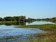 40 Bin Yıllık Aborjin Yurdu: Kakadu National Park