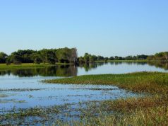 40 Bin Yıllık Aborjin Yurdu: Kakadu National Park