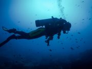 Bali Dalış Kursu: Amed, Bali Amed Diving