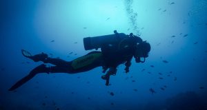 Bali Dalış Kursu: Amed, Bali Amed Diving