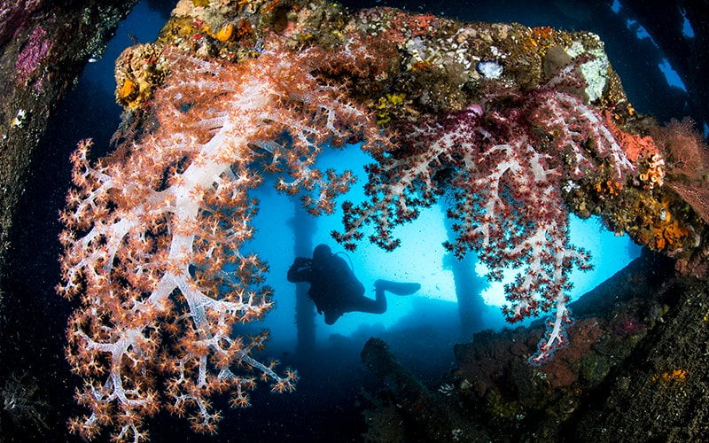 Tulamben Dalış, Bali