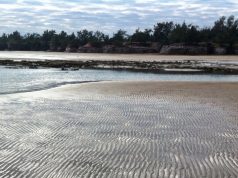 Casuarina Coastal Park’ta Bisiklet Turu