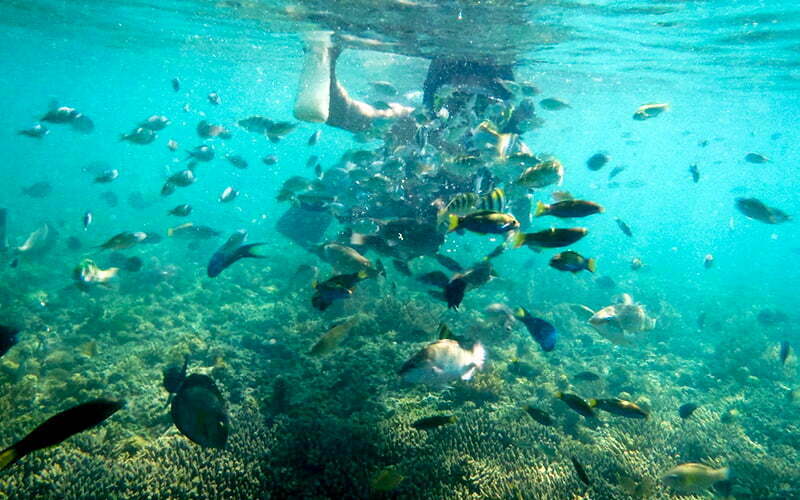 Gili Adaları aktiviteleri