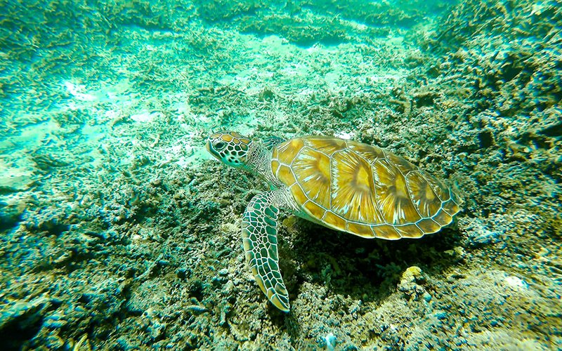 Gili adaları yapılacak seyler