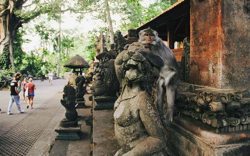 Ubud Monkey Forest