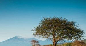 Java’daki Afrika: Baluran National Park Baluran National Park