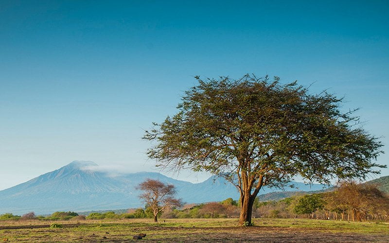 Baluran National Park