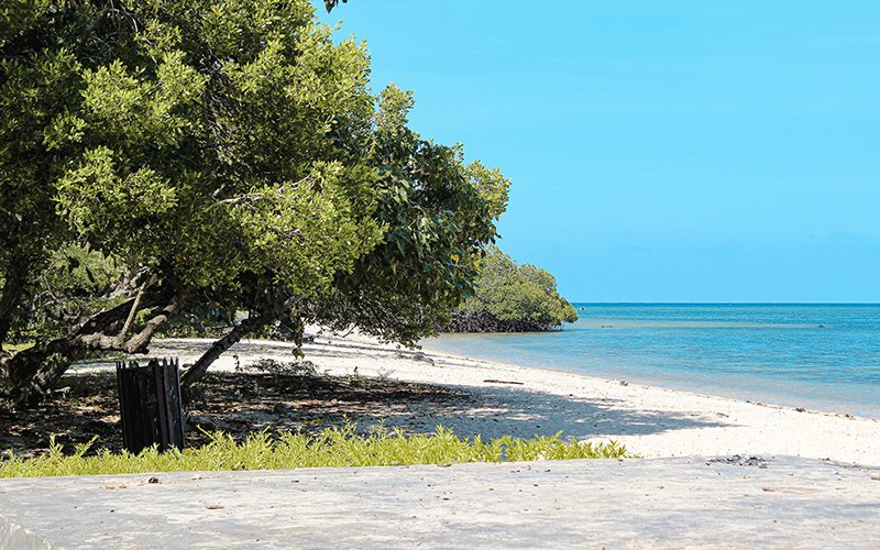 Bama Beach, Baluran