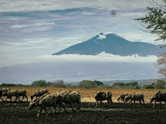 Banyuwangi gezilecek yerler
