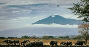 Banyuwangi Gezilecek Yerler Banyuwangi gezilecek yerler