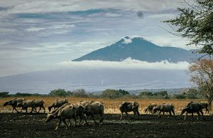 Banyuwangi gezilecek yerler