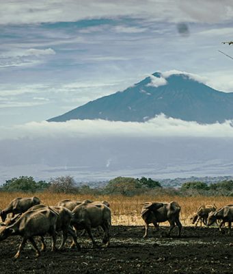 Banyuwangi gezilecek yerler