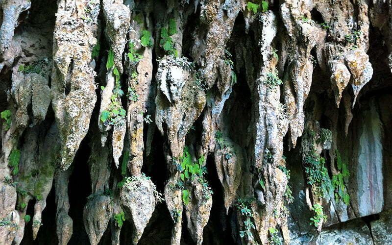 Borneo Winds Cave Mulu