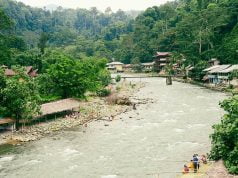 Sumatra Ormanlarına Açılan Kapı: Bukit Lawang Bukit Lawang