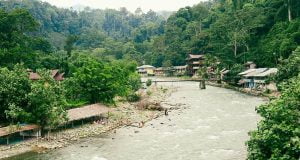Sumatra Ormanlarına Açılan Kapı: Bukit Lawang Bukit Lawang