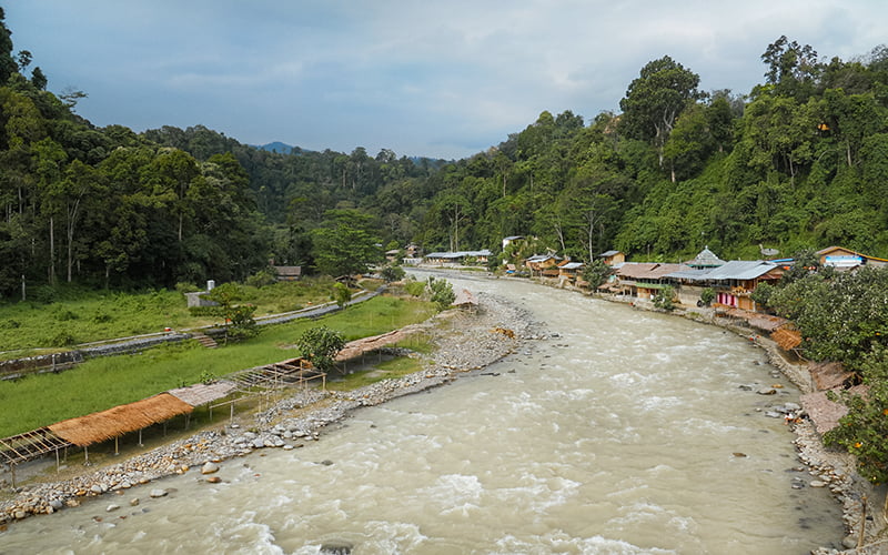 Bukit Lawang Rehberi