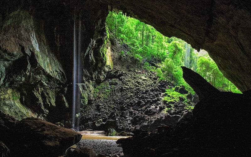 Garden of Eden, Mulu National Park, Borneo