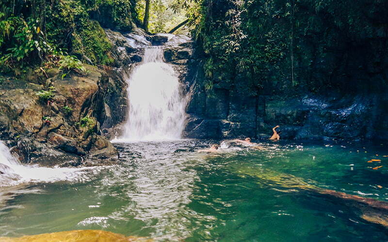 Garden of Eden, Mulu, Borneo