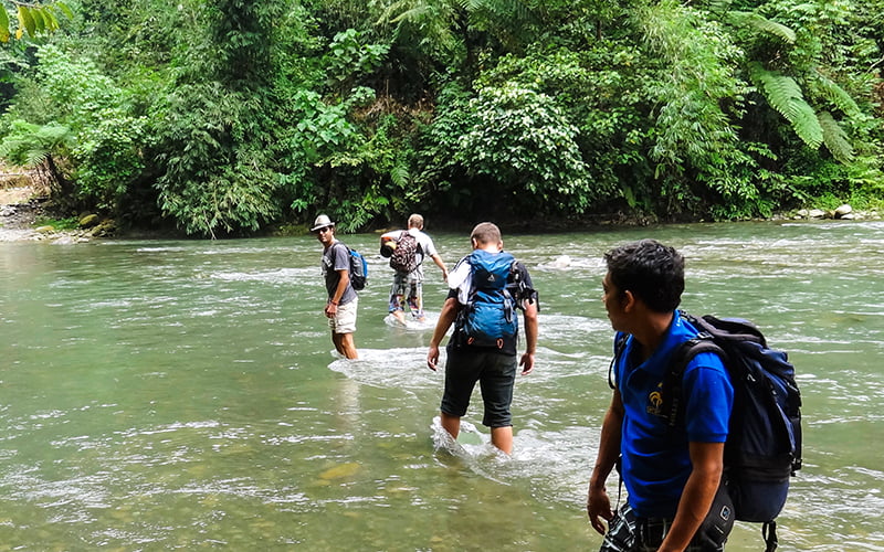 Gunung Leuser Ulusal Parkı Trekking