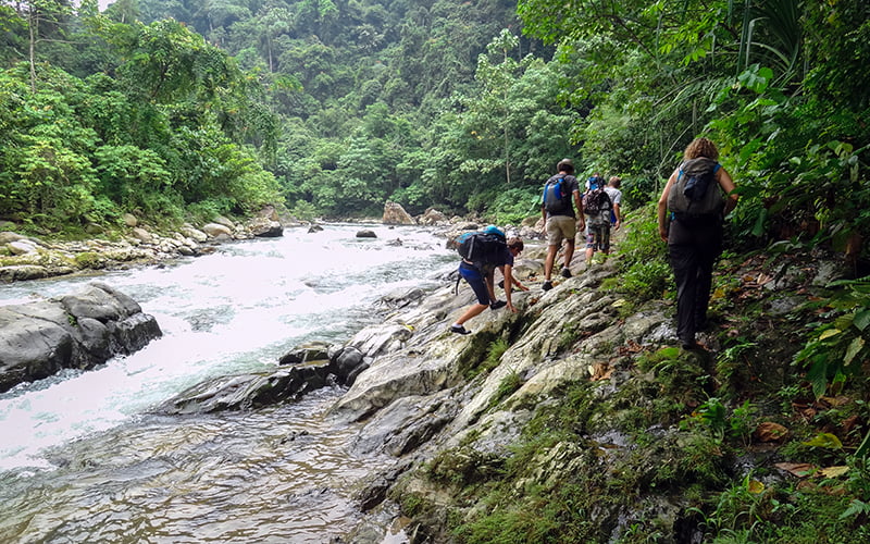 Gunung Leuser Ulusal Parkı Trekking