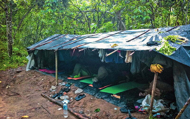 Gunung Leuser National Park