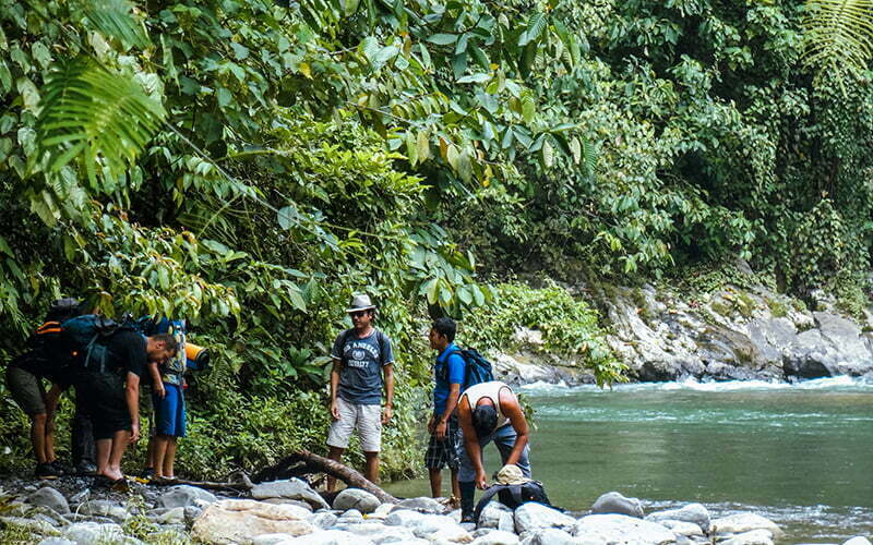 G. Leuser National Park