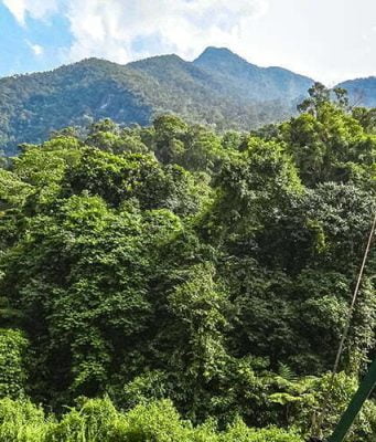 Asya’daki Amazon: Gunung Mulu Ulusal Parkı Mulu Milli Parkı