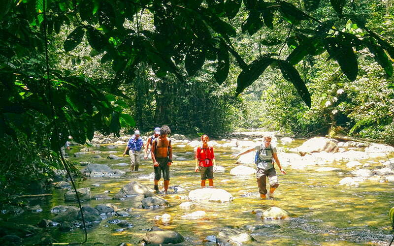 Mulu National Park, Borneo