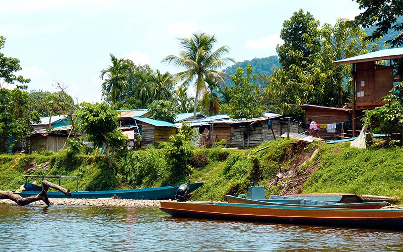 Penan Koyu, Sarawak, Borneo