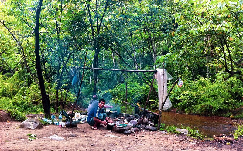 Sumatra Leuser Park