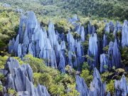 Zirvedeki İlginç Kayalar: The Pinnacles, Borneo The Pinnacles Borneo