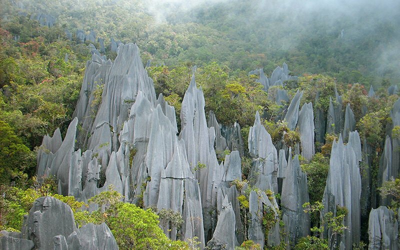 The Pinnacles, Mulu, Borneo