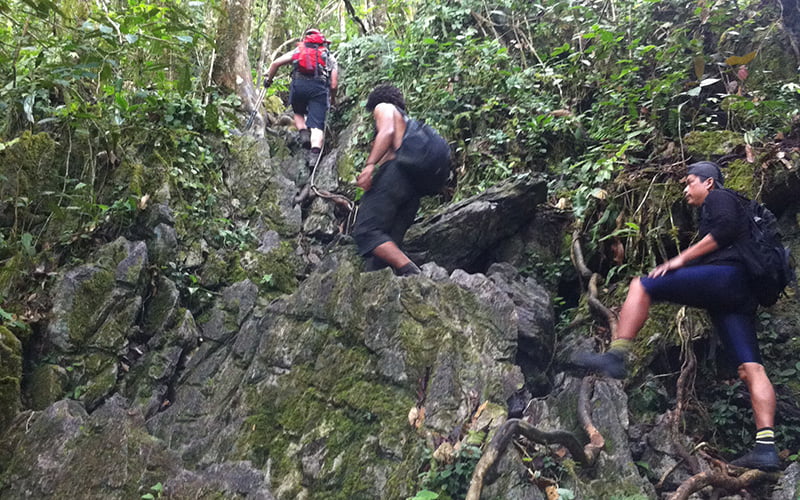 The Pinnacles Trekking