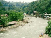 Bukit Lawang