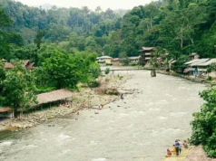 Sumatra Ormanlarına Açılan Kapı: Bukit Lawang Bukit Lawang