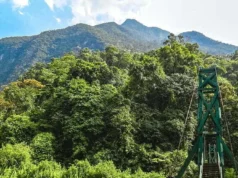Asya’daki Amazon: Gunung Mulu Ulusal Parkı Mulu Milli Parkı