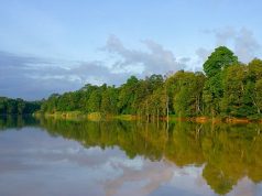 Borneo Yaban Hayatı Koruma Alanı: Kinabatangan Wildlife Sanctuary   Kinabatangan Nehri