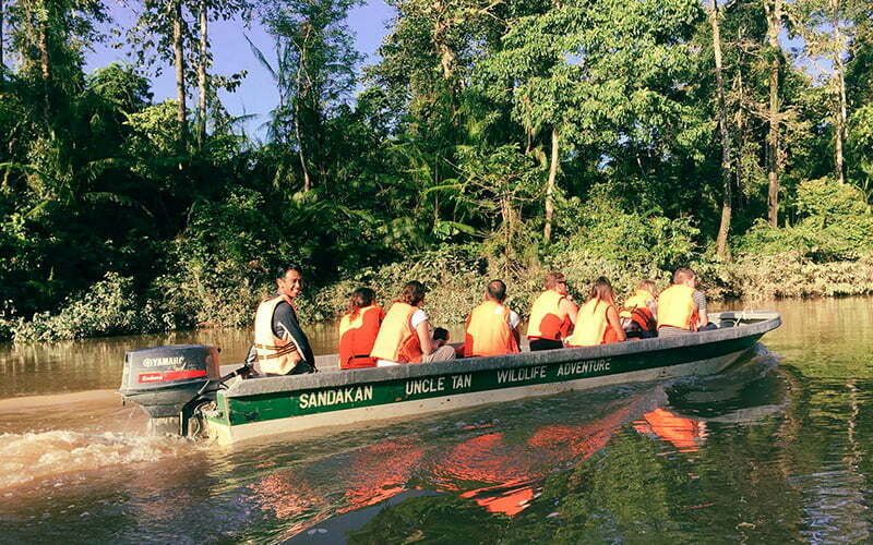 Kinabatangan Wildlife Tour