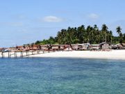Dalış Cenneti: Mabul Adası, Borneo Mabul Adası Rehberi