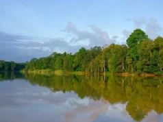 Borneo Yaban Hayatı Koruma Alanı: Kinabatangan Wildlife Sanctuary Kinabatangan Nehri