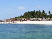 Mabul Adası Rehberi